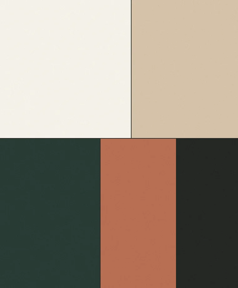 Colour study board of ivory, sandstone, eucalyptus, terracotta and charcoal swatches